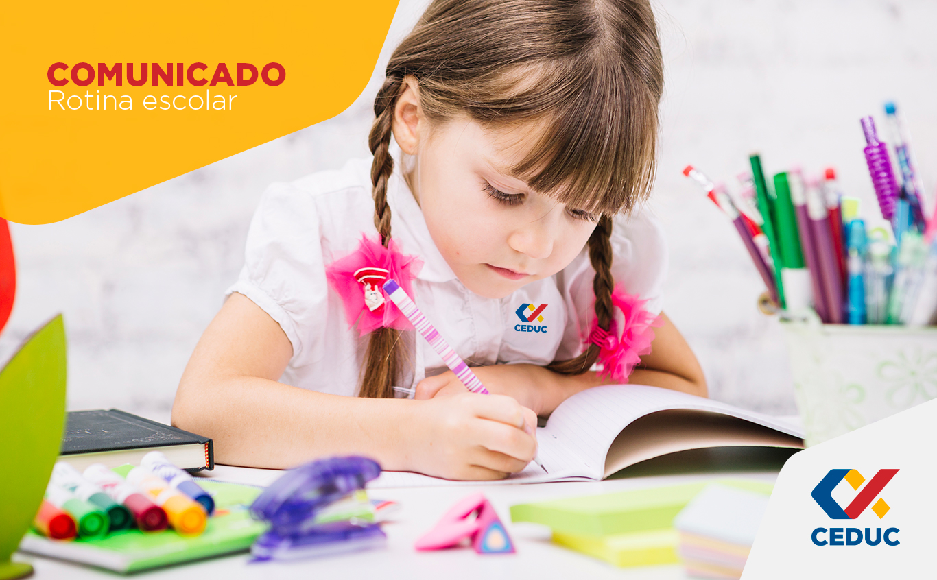 Brinquedo Matemática Material Escolar Educação Infantil Alun